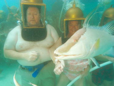 Large helmet diver in Bermuda