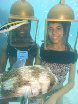 Porcupine puffer and Bermuda helmet divers