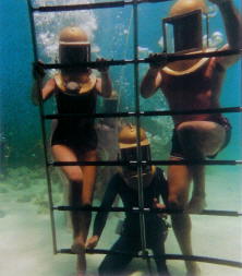 Helmet diving ladder in Bermuda.