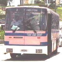 Bermuda Bus
